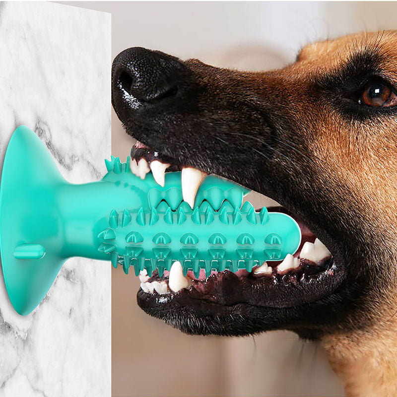 http://www.petduro.com/cdn/shop/products/PETDURO-Dog-Chew-Toys-Indestructible-Tough-Dental-Teething-Toys-with-Rubble-Suction-Cup-2_1200x1200.jpg?v=1596608244