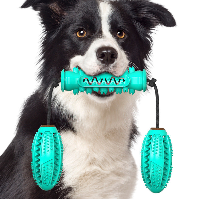 Tortoise Dog Teeth Cleaning Stick Rope Toys - Set of 1 - Inspire Uplift