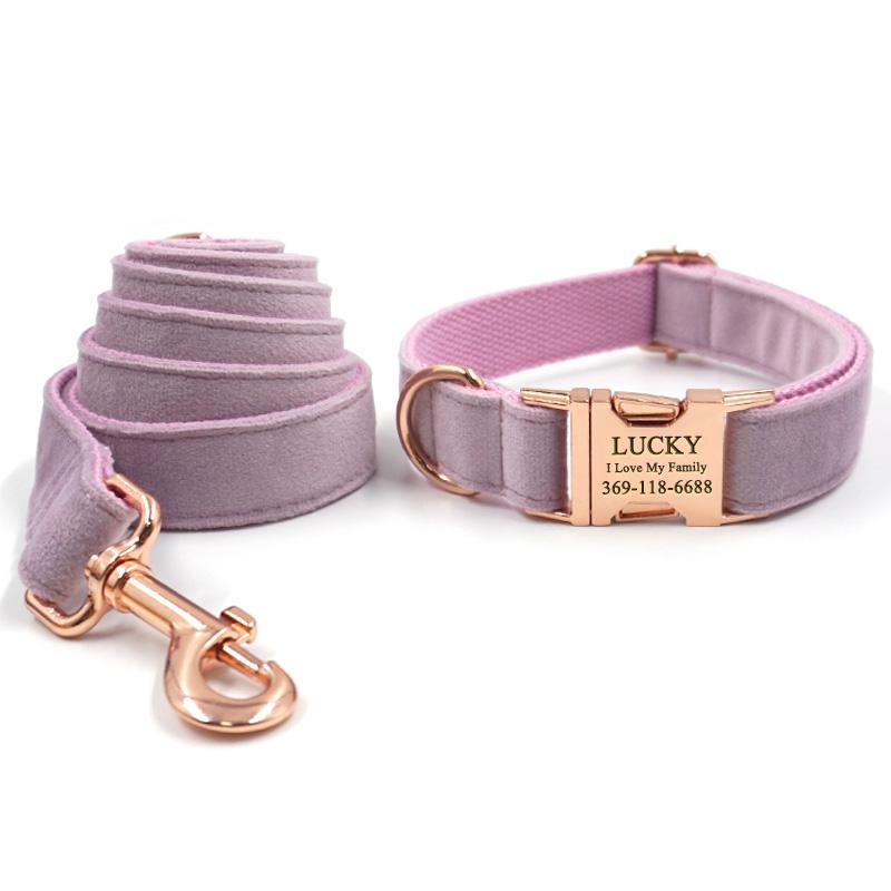 PETDURO Personalized Dog Collar Engraved Rose Gold Buckle Pink Velvet