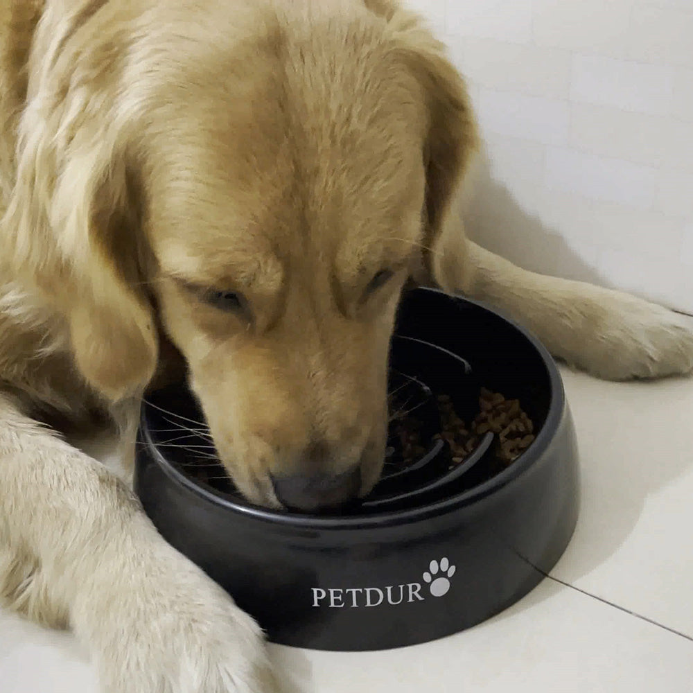 Slow Feeder  Dog Feeder-PuzzleFeeder™ - Slower than a slow feeder