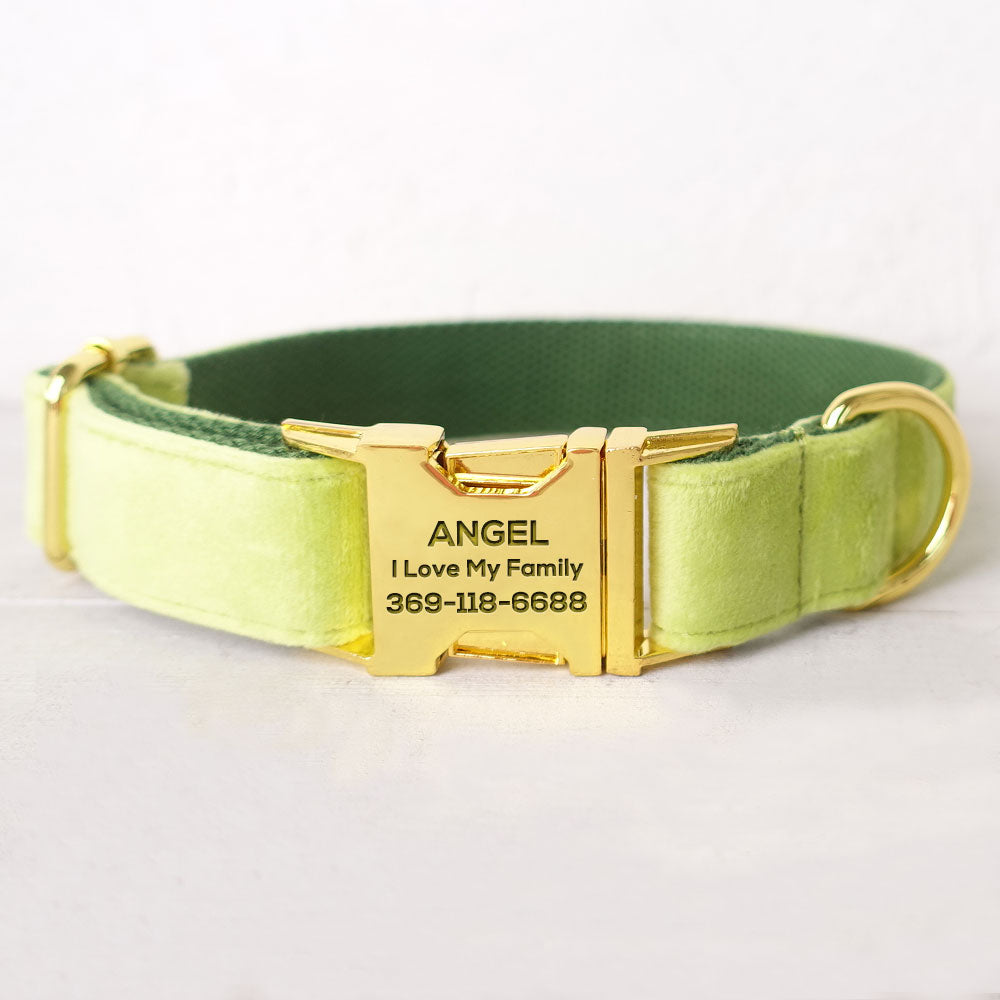 PETDURO Personalized Cat Collar Gold Buckle Cute Mint Blue Velvet