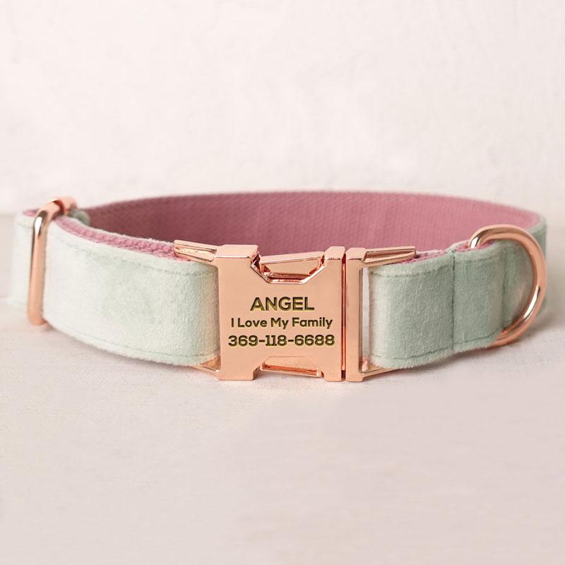 PETDURO Personalized Cat Collar Gold Buckle Cute Mint Blue Velvet