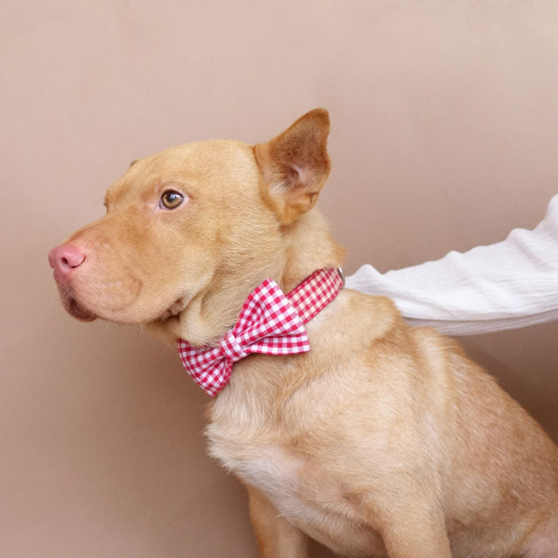 Plaid Bow Tie Dog Collar And Leash