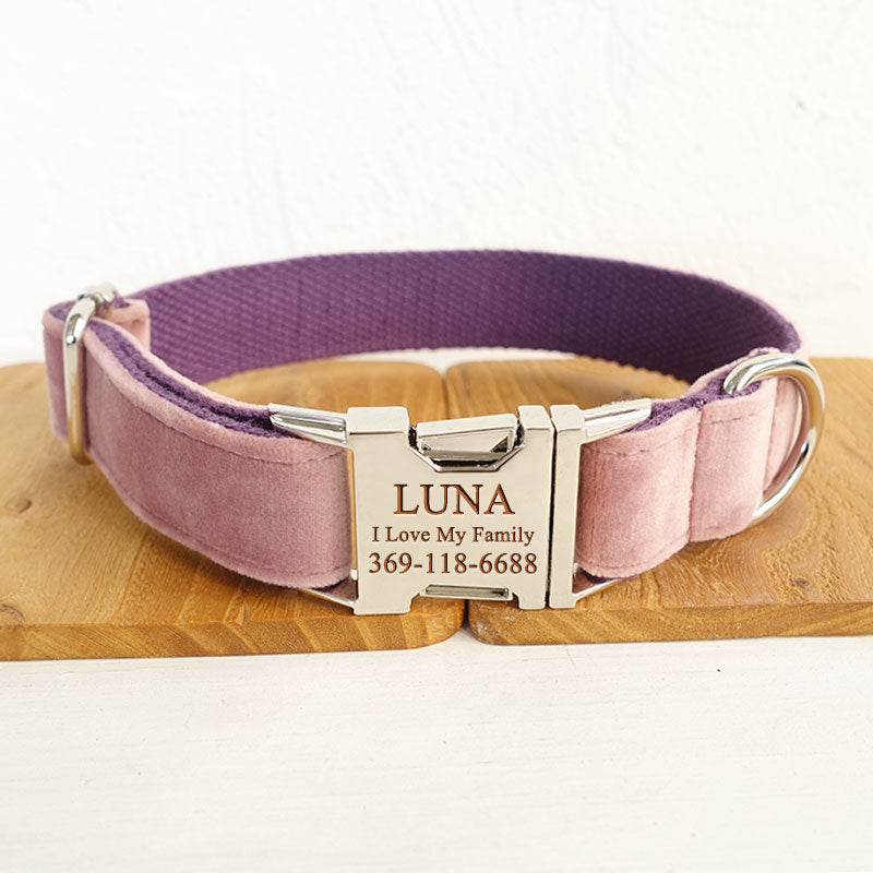 PETDURO Cute Custom Dog Collar Engraved with Leash & Bow Tie for Girl