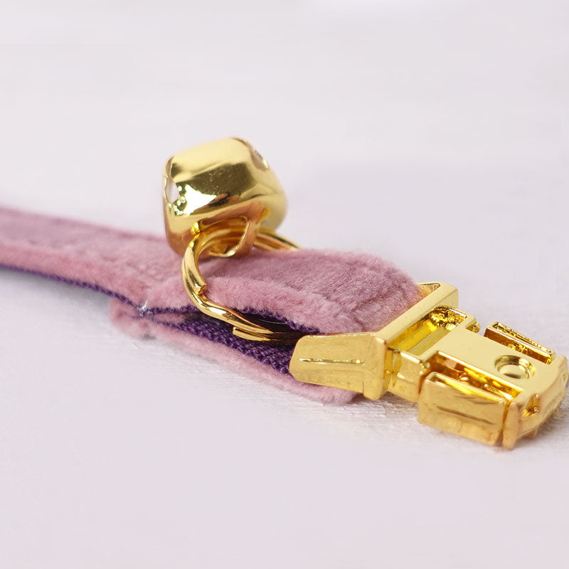 PETDURO Personalized Cat Collar Bright Gold Buckle Light Purple Velvet