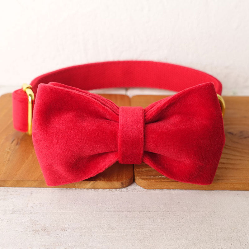 Cherry Red Velvet Dog Collar Bowtie Leash With -  Israel