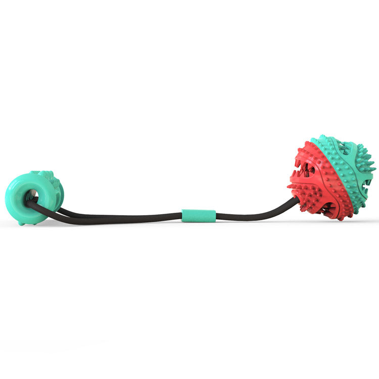 https://www.petduro.com/cdn/shop/products/PETDURO-Dog-Chew-Toy-Indestructible-Toothbrush-Stick-Tough-Teething-Treat-Toys-Bundle_5_1024x1024@2x.jpg?v=1596534285