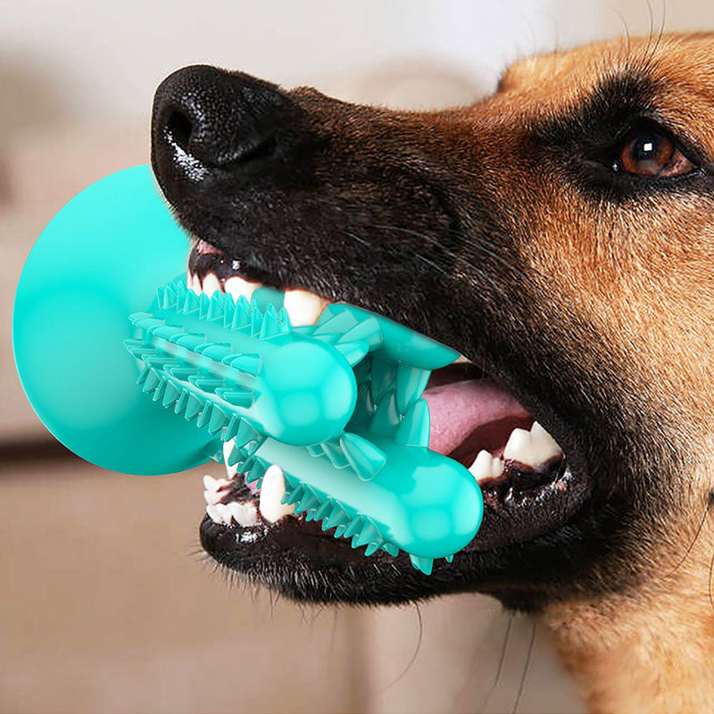 https://www.petduro.com/cdn/shop/products/PETDURO-Dog-Chew-Toys-Indestructible-Tough-Dental-Teething-Toys-with-Rubble-Suction-Cup-3_1024x1024@2x.jpg?v=1596608244