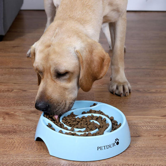 Slow Dog Bowl for Large Dogs, Anti-Gulping Dog Feeder – TekDukan