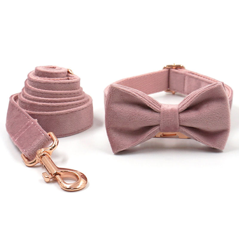 PETDURO Cute Custom Dog Collar Engraved with Leash & Bow Tie for Girl